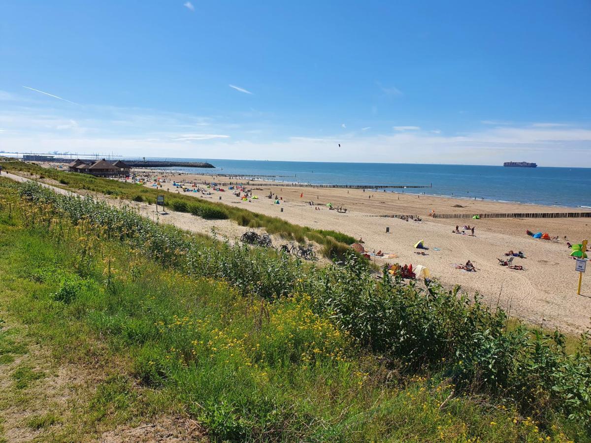 Le Normandy 5Star Apartamento Cadzand Exterior foto